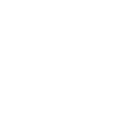 élimination insecte nuisible maison ou appartement